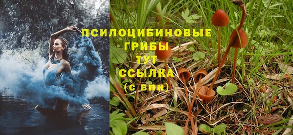 молекула духа Заводоуковск