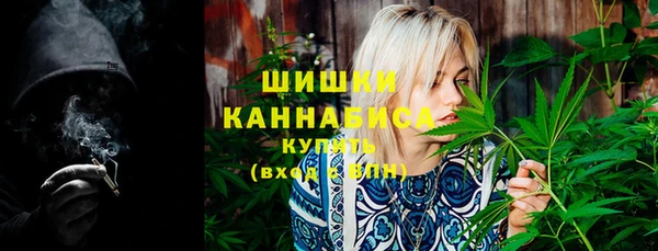 молекула духа Заводоуковск