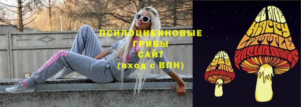 молекула духа Заводоуковск