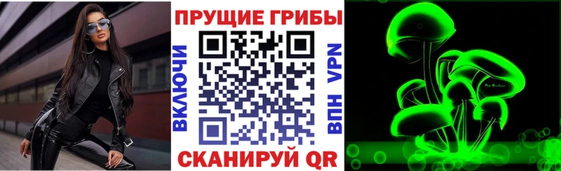 Купить закладки  Пласт  Псилоцибиновые грибы ЛСД 